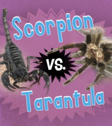 Scorpion vs. Tarantula, Hardback Book Scorpion vs. Tarantula, Hardback Book