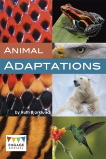 Animal Adaptations, Paperback / softback Book Animal Adaptations, Paperback / softback Book