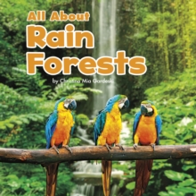 All About Rainforests, Hardback Book All About Rainforests, Hardback Book