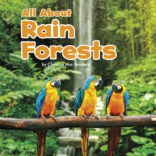 All About Rainforests