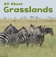 All About Grasslands, Paperback / softback Book All About Grasslands, Paperback / softback Book
