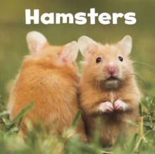 Hamsters, Paperback / softback Book Hamsters, Paperback / softback Book