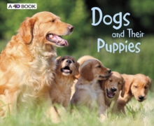 Dogs and Their Puppies, Hardback Book Dogs and Their Puppies, Hardback Book