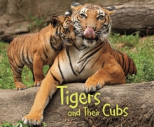 Tigers and Their Cubs, Paperback / softback Book Tigers and Their Cubs, Paperback / softback Book