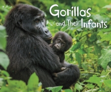 Gorillas and Their Infants