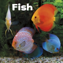 Fish, Hardback Book Fish, Hardback Book