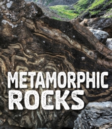Metamorphic Rocks, Paperback / softback Book Metamorphic Rocks, Paperback / softback Book