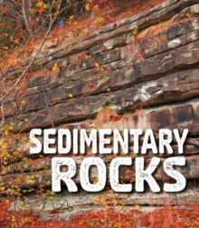 Sedimentary Rocks