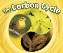 The Carbon Cycle