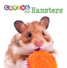 Caring for Hamsters