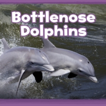 Bottlenose Dolphins, Hardback Book Bottlenose Dolphins, Hardback Book