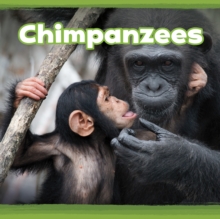 Chimpanzees, Hardback Book Chimpanzees, Hardback Book