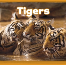 Tigers