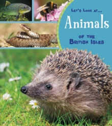 Animals of the British Isles, Paperback / softback Book Animals of the British Isles, Paperback / softback Book