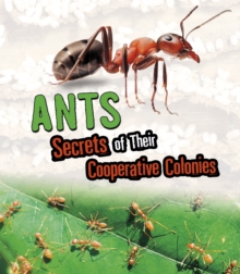 Ants : Secrets of Their Cooperative Colonies, Paperback / softback Book Ants : Secrets of Their Cooperative Colonies, Paperback / softback Book