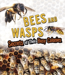 Bees and Wasps : Secrets of Their Busy Colonies, Paperback / softback Book Bees and Wasps : Secrets of Their Busy Colonies, Paperback / softback Book