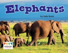 Elephants, Paperback / softback Book Elephants, Paperback / softback Book