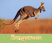 Kangaroos, Hardback Book Kangaroos, Hardback Book