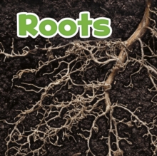 Roots, Hardback Book Roots, Hardback Book