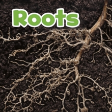 Roots