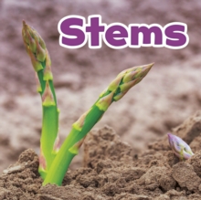 Stems