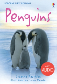 Penguins