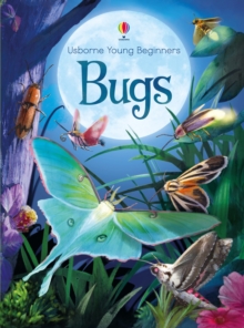 Young Beginners Bugs, Hardback Book Young Beginners Bugs, Hardback Book