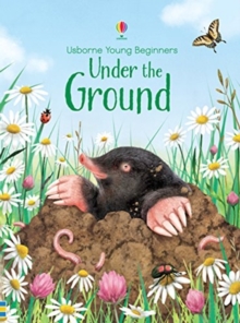 Underpants for Ants, Hardback Book Underpants for Ants, Hardback Book