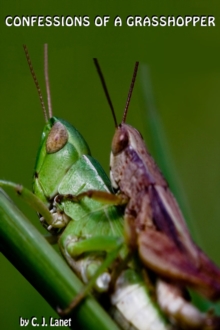 Confessions Of A Grasshopper