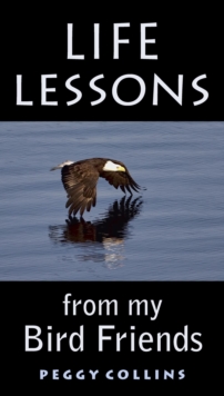 Life Lessons From My Bird Friends