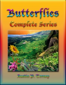 Butterflies Complete Series