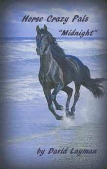 Crazy Horse Pals - Midnight