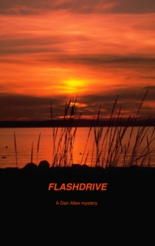 Flashdrive : Dan Allex mystery, #1