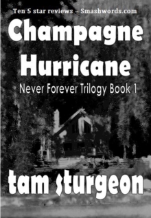 Never Forever - The Champagne Hurricane Trilogy - Book 1