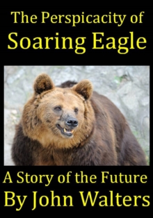 Perspicacity Of Soaring Eagle