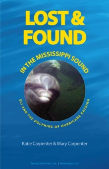 Lost & Found In The Mississippi Sound