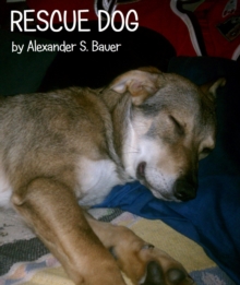 Rescue Dog