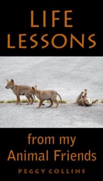 Life Lessons From My Animal Friends