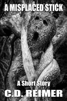 Misplaced Stick (Short Story)