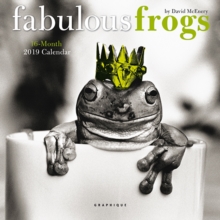 FABULOUS FROGS 2019 MINI WALL CALENDAR, Paperback Book FABULOUS FROGS 2019 MINI WALL CALENDAR, Paperback Book