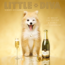 LITTLE DIVA 2019 SQUARE WALL CALENDAR, Paperback Book LITTLE DIVA 2019 SQUARE WALL CALENDAR, Paperback Book
