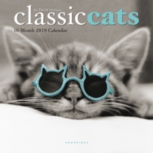 CLASSIC CATS 2019 MINI WALL CALENDAR, Paperback Book CLASSIC CATS 2019 MINI WALL CALENDAR, Paperback Book