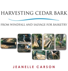 Harvesting Cedar Bark : From Windfall and Salvage for Basketry