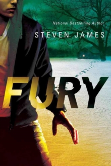 Fury, Paperback / softback Book Fury, Paperback / softback Book