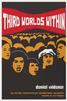 Third Worlds Within : Multiethnic Movements and Transnational Solidarity