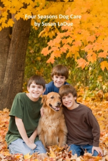 Four Seasons Dog Care: What Dog Owners Should Do As The Seasons Change