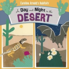 A Day and Night in the Desert, Paperback Book A Day and Night in the Desert, Paperback Book
