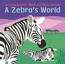 Zebra's World, Board book Book Zebra's World, Board book Book