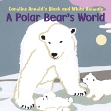 Polar Bear's World, Board book Book Polar Bear's World, Board book Book