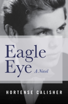 Eagle Eye : A Novel